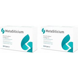 MetaSilicon®