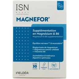Ineldea Magnefor 90 gélules
