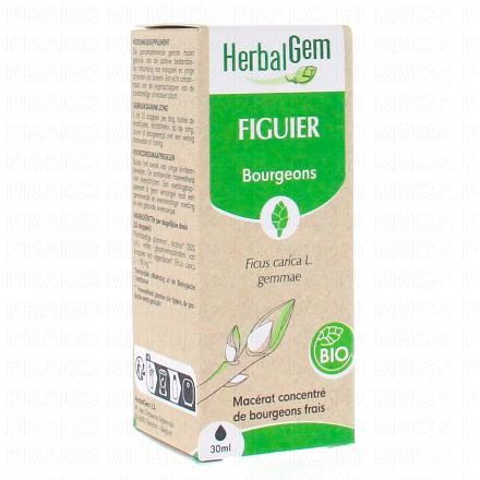 Concentré du bourgeons frais - Figuier bourgeons Bio 30ml