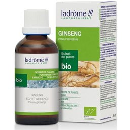 Extraits de plantes fraîches Ginseng