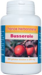 GELULES BUSSEROLE feuille 200 gélules dosées à 250 mg