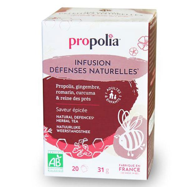 Bio Infusion Défenses naturelles Saveur épicée 20 sachets