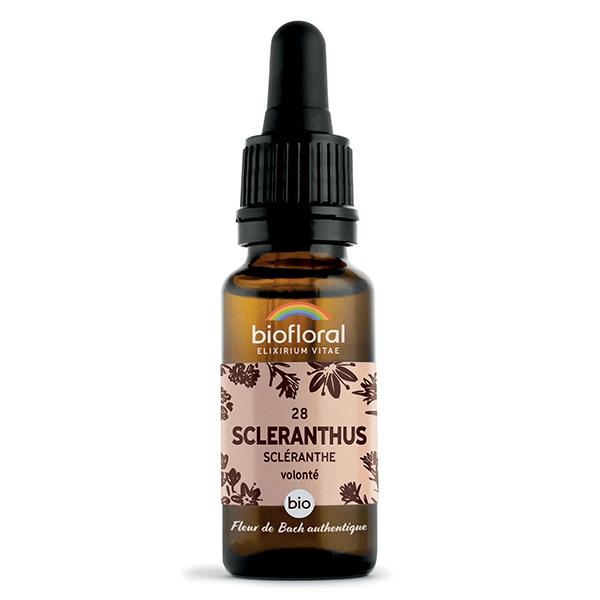 Fleur De Bach 28 Scleranthus Scleranthe Compte Gouttes Bio 20 ml