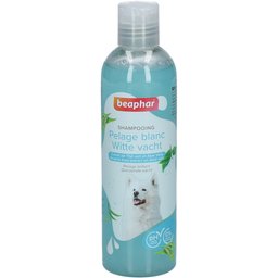 Shampooing Pelage Blanc Chien