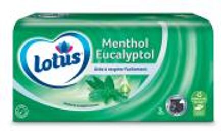 Menthol Eucalyptol Boîte de 72 Unités - Boîte 72 mouchoirs