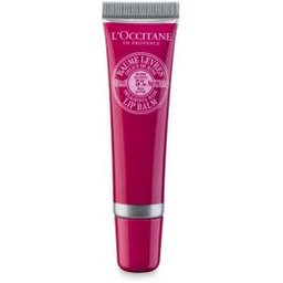 Karité Baume Lèvres Délice de Rose 12mL