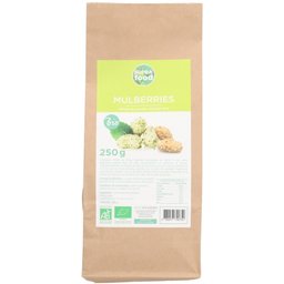 Suprafood Mulberries