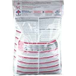 Canine Medium Chien avec Poulet