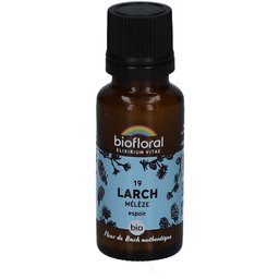 19 Larch - Mélèze