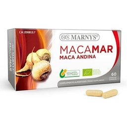 Casquette Macamar 60 Capuchon