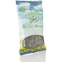 Gordolobo En Planta 10 Gr *