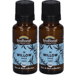 38 Willow - Saule