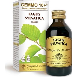 Gemmo 10+ Hêtre 100ml