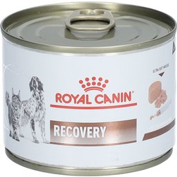 Royal Canin® Recovery Mousse ultra tendre Chien et Chat