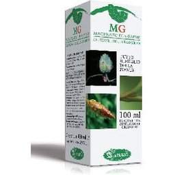 Castagno Macerato di Gemme 100ml