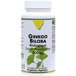 Ginkgo Biloba 60 Gélules