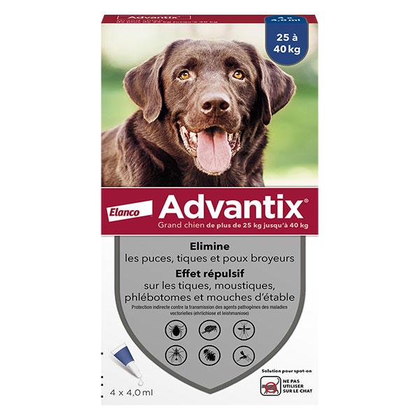 Chien Solution Antiparasitaire Grande Race 25 à 40kg 4 pipettes