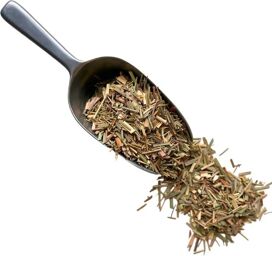 Tisane Citronnelle plante 1 KILO Cymbopogon citratus.