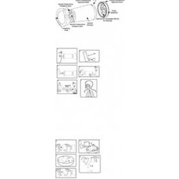 L'Espace Camera Ped C/Mas Gi