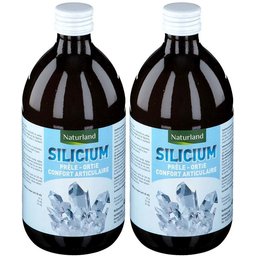 Silicium