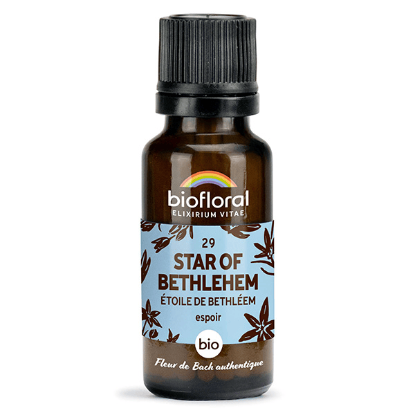 29 Star Of Bethlehem Etoile De Bethleem Granules Bio Fleur De Bach 19,5 Gr
