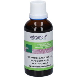Extrait de plante bio Grande Camomille