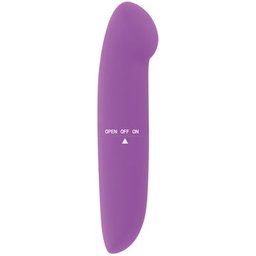 Vibrateur Phil Lilas