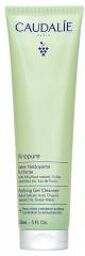 Vinopure Gelée Nettoyante Purifiante Eau de Raisin 150 ml - Tube 150 ml