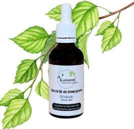 Macérât de bourgeons de Bouleau - Gemmo - Betula alba - 50ml