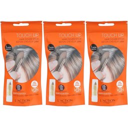 L'action Touch Up Bâton Cheveux Gris - Brun Foncé
