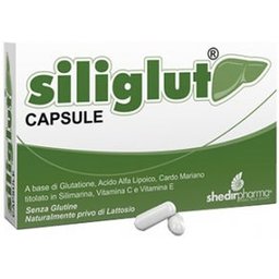 Siliglut 20Cps