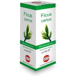 Gouttes de Macérat Glycérique de De Ficus Carica 100ml