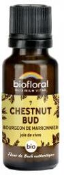 Granules 7 Chestnut Bud - Bourgeon de Marronnier Bio 19,5 g - Flacon 19,5 g