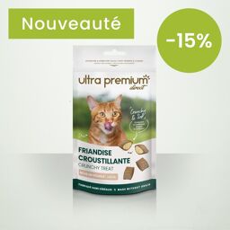 Friandise croustillante pour chat