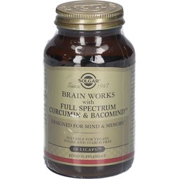 Brain Works