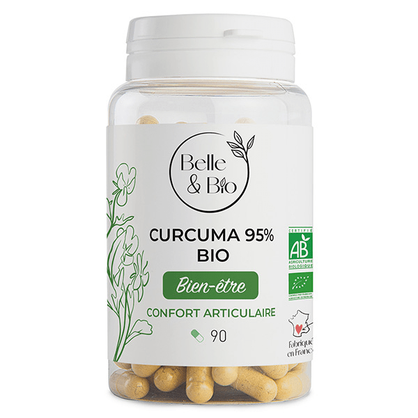 Curcuma 95% Bio 90 gélules