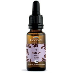 15 - Holly - Houx