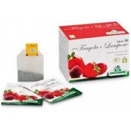 INFUSION DE FRAISES/LAMPE 20BUSTES