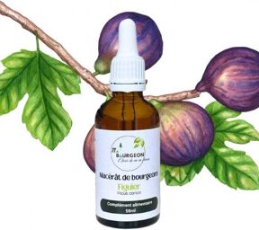 Macérât de bourgeons de Figuier - Gemmo - Ficus carica - 50ml
