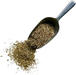 Tisane Erysimum (Herbe aux Chantres) plante Erysimum officinal