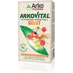Arkovital Boost 24comp