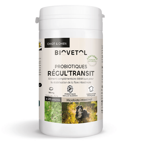 Comprimés à croquer probiotique Chien 20 comprimés