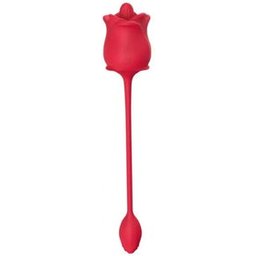Rosa Stimulateur d'Aspiration Vibrateur 2 en 1 10 Modes Rouge 1ut