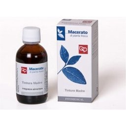 Uncaria Extracto Seco 60comp
