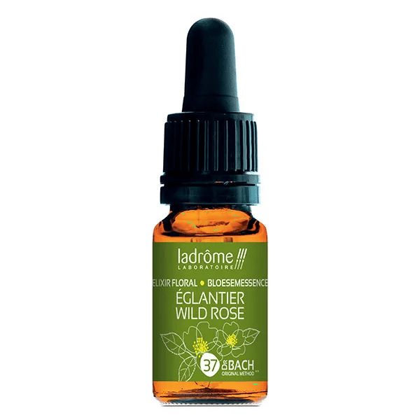 Elixir Floral N°37 Eglantier Bio 10 ml