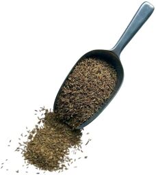 Tisane Cumin semence 1 KILO Cuminum cyminum.