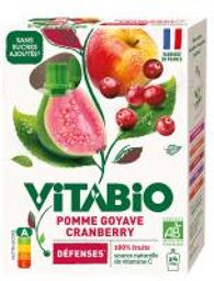 Pomme Cranberry Goyave Bio 4 Gourdes de 100 g - Boîte 4 gourdes de 100 g