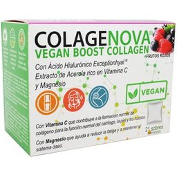 Vegan Boost Fruits rouges 21 enveloppes