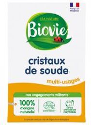 Cristaux de Soude Multi-Usages 500 Grammes - Carton 500 g