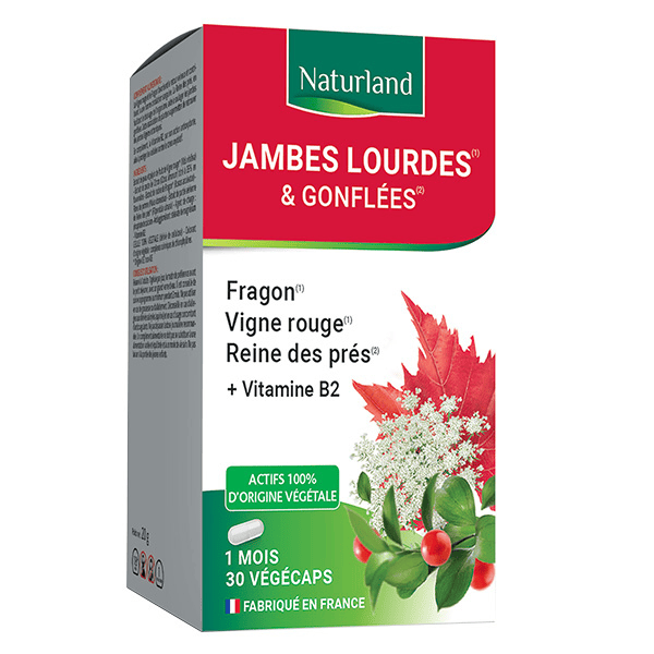CHOLESTÉROL SANTÉ CARDIOVASCULAIRE 60 VÉGÉCAPS